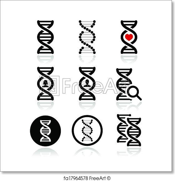 561x581 Free Art Print Of Dna, Genetics Vector Icons Set. Vecor Icons Set