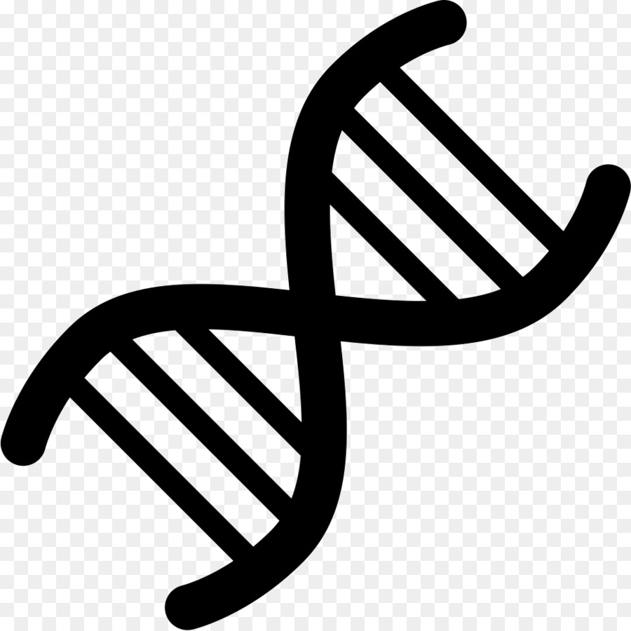 900x900 Genetics Dna Computer Icons Vector