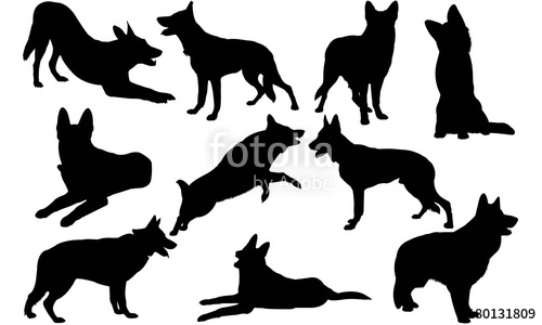 500x300 German Shepherd Dog Silhouette Vector Graphics Stock Image And