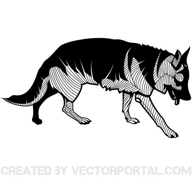 660x660 Vector Illustration Of A German Shepherd. Animal Vectors