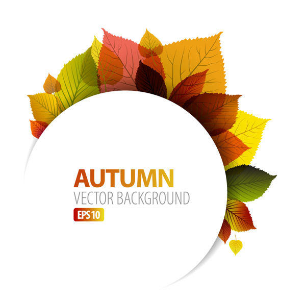 600x594 Design Vector Graphics Autumn Leaf 1 Free Vector 4vector