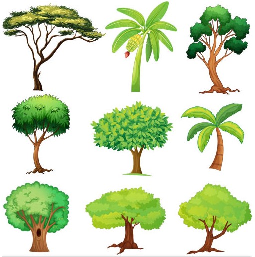 510x514 Trees Vector Graphic Ai Format Free Vector Download