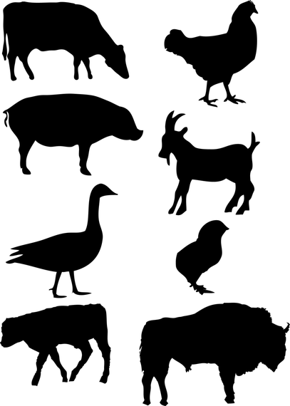 407x570 Farm Animals Vector Graphics