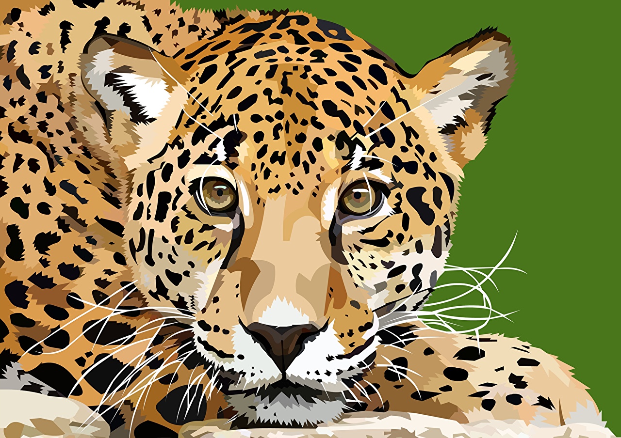 1280x904 Wallpaper Leopards Snout Animals Staring Painting Art Vector