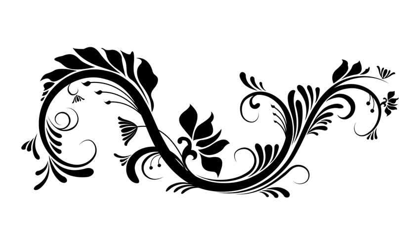 850x496 Graphic Flower Vector