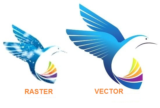 550x370 Raster And Vector Graphics. Difference Between The Two. Techfogg