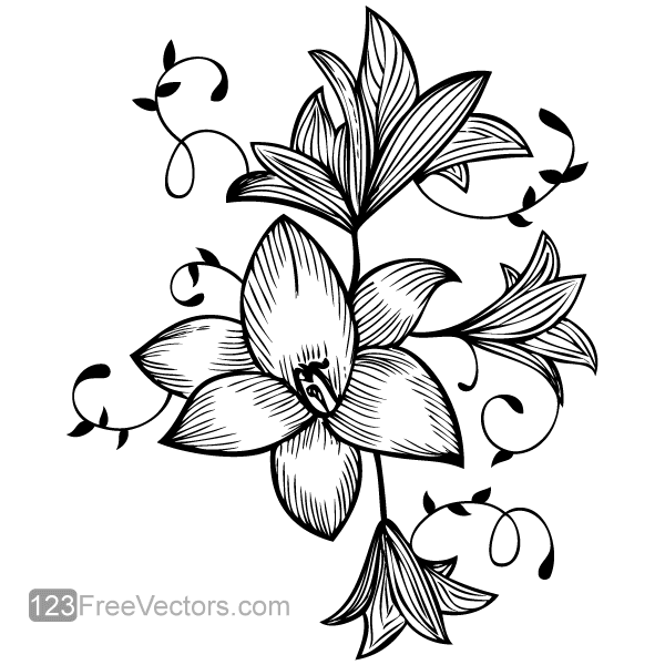 600x600 Flower Outline Vectors Download Free Vector Art Amp Graphics