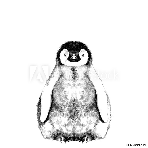 500x500 Baby Penguin Small And Cute Is In Full Growth Is Symmetrical, The