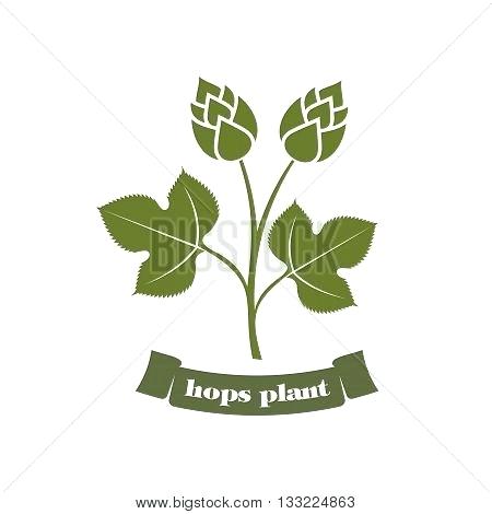450x470 Hops Vector Illustration On A White Background Plant Hop Leaves
