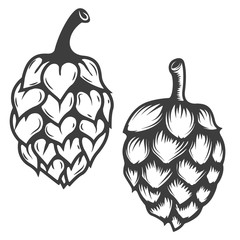 240x240 Hops Vector Photos, Royalty Free Images, Graphics, Vectors