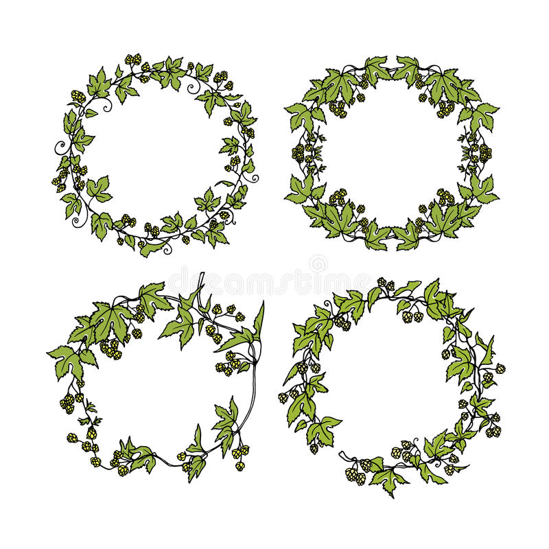 800x800 Hops Clipart Wreath ~ Frames ~ Illustrations ~ Hd Images ~ Photo
