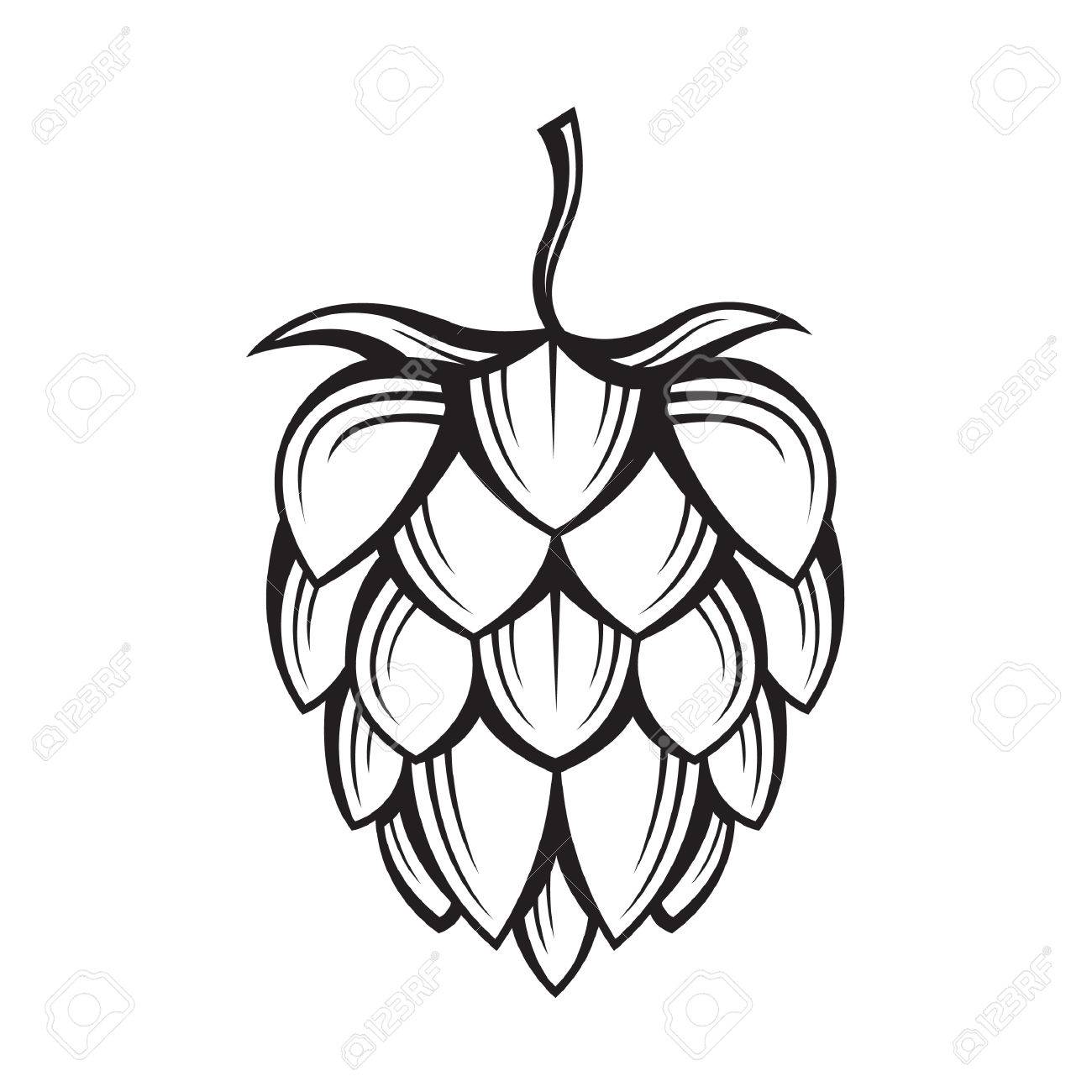 1300x1300 Hops Vector Download