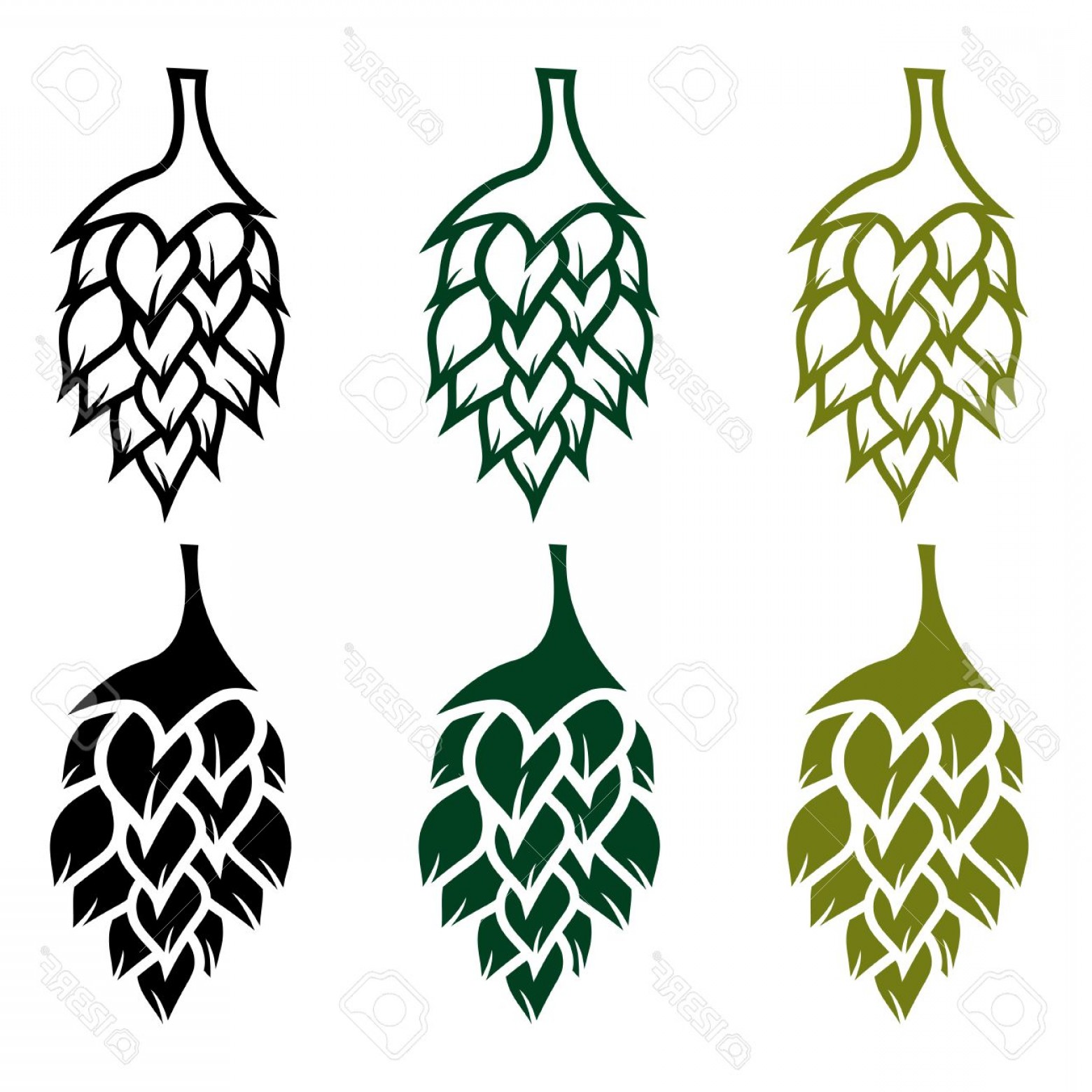 1560x1560 Photostock Vector Hops Vector Design Template Lazttweet