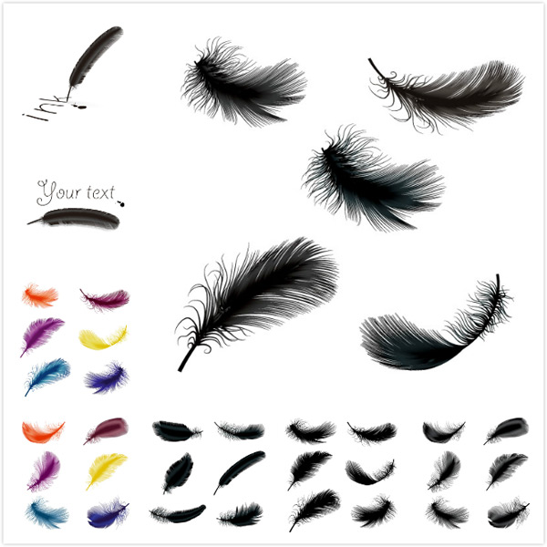 600x600 Color Feather Vector Vector Animal Free Vector Download