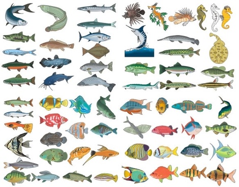 470x368 Fish Free Vector Fish Free Vector Download 992 Free Vector For