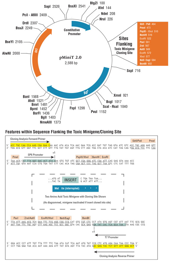 575x884 Pcr Cloning Kit (Without Competent Cells) Neb