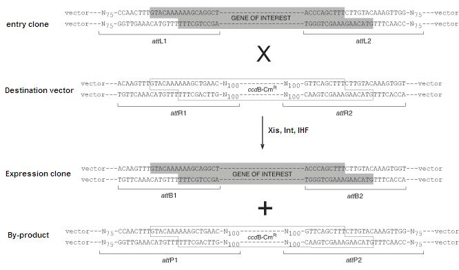 666x392 Teamuc Berkeleygatewayoverview