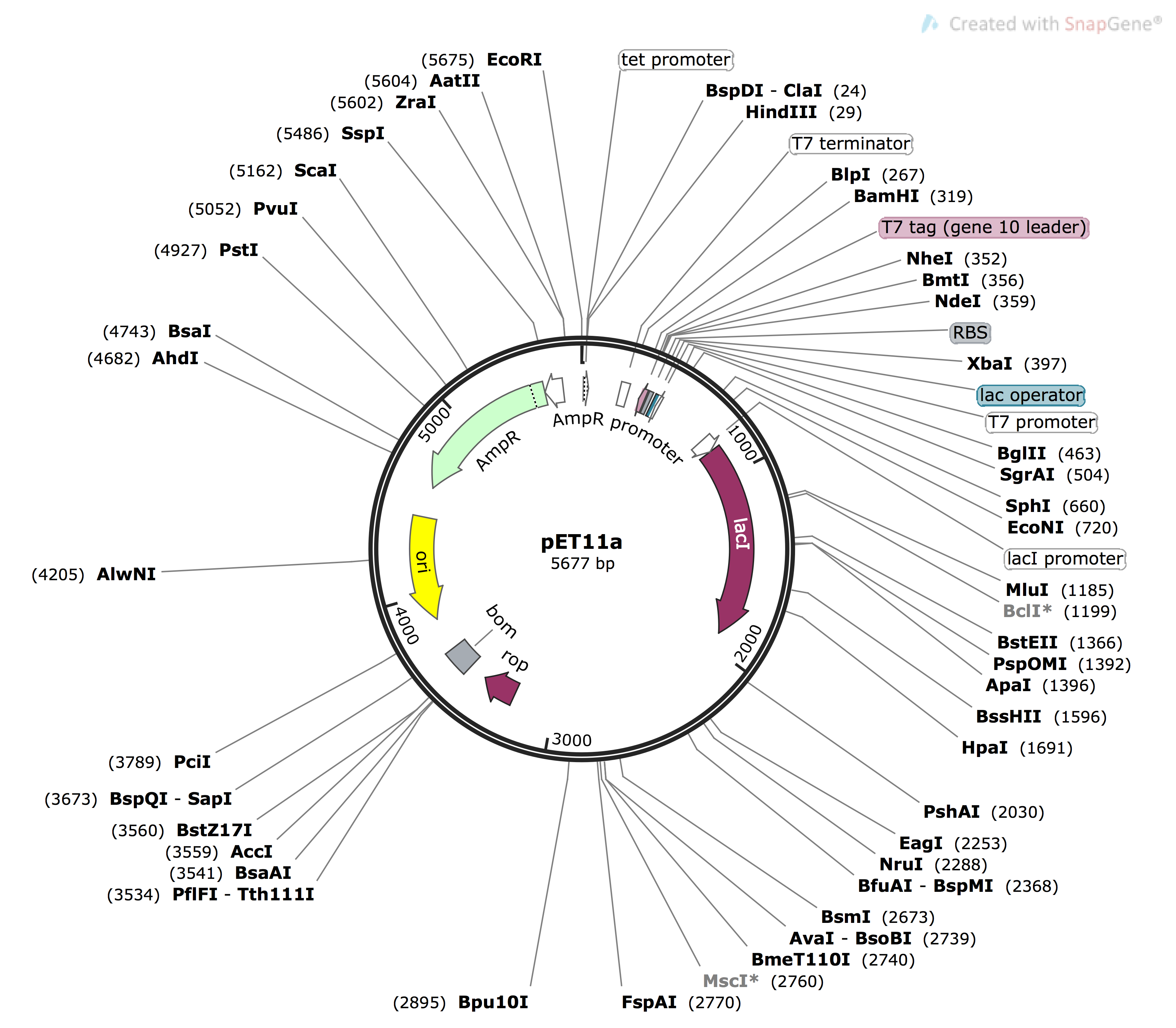 3445x3012 Capsid Constructors