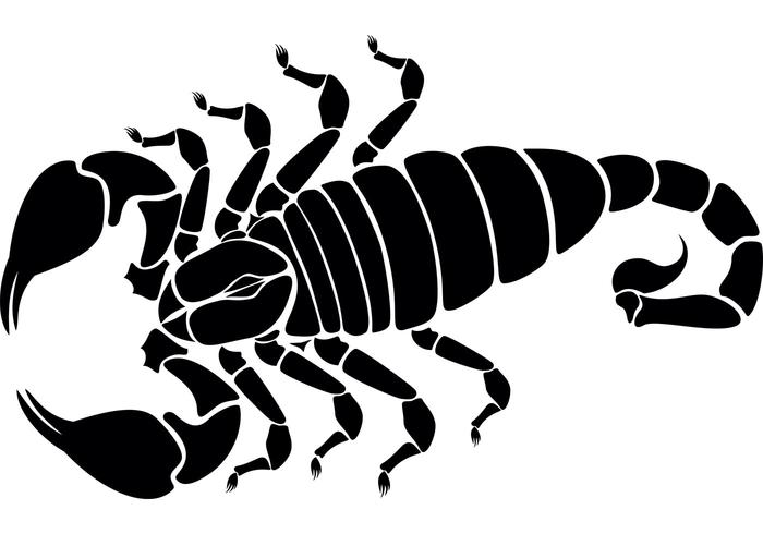 700x490 Scorpion Vector Image