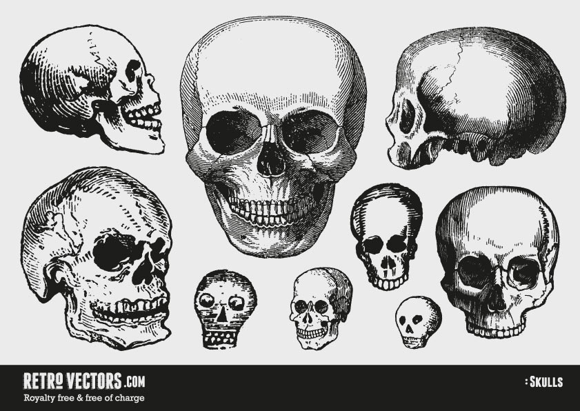 841x596 Free Vector Skulls Vintage Vectors Royalty Free Free Of