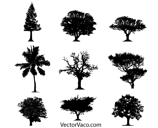 600x485 Tree Silhouette Vectors Download Free Vector Art Amp Graphics