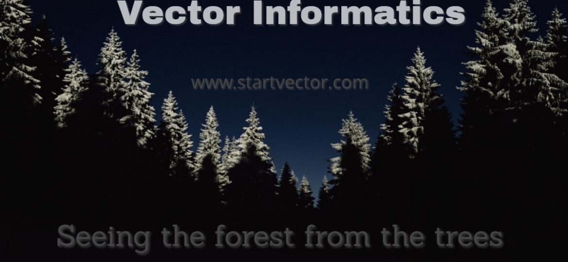 1170x540 Vector Informatics Digital Internet Productions