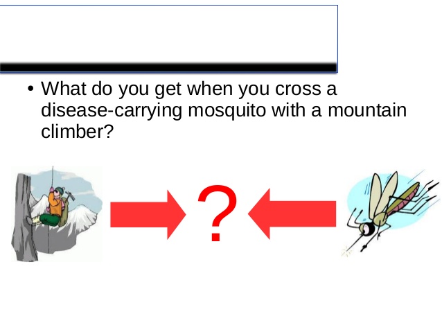 638x479 Vector And Scalar Jokes. Geometry Jokes