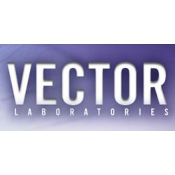 250x250 Vector Labs