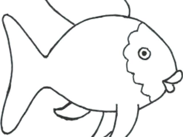 640x480 Rainbow Fish Black And White Vector Labs O Outline Of Free