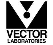 185x159 Vector Laboratories Lumigen