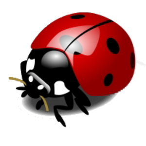 300x300 Ladybug Free Images