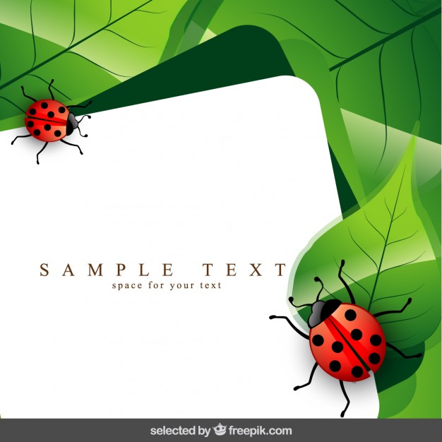 626x626 Ladybug Vectors, Photos And Psd Files Free Download