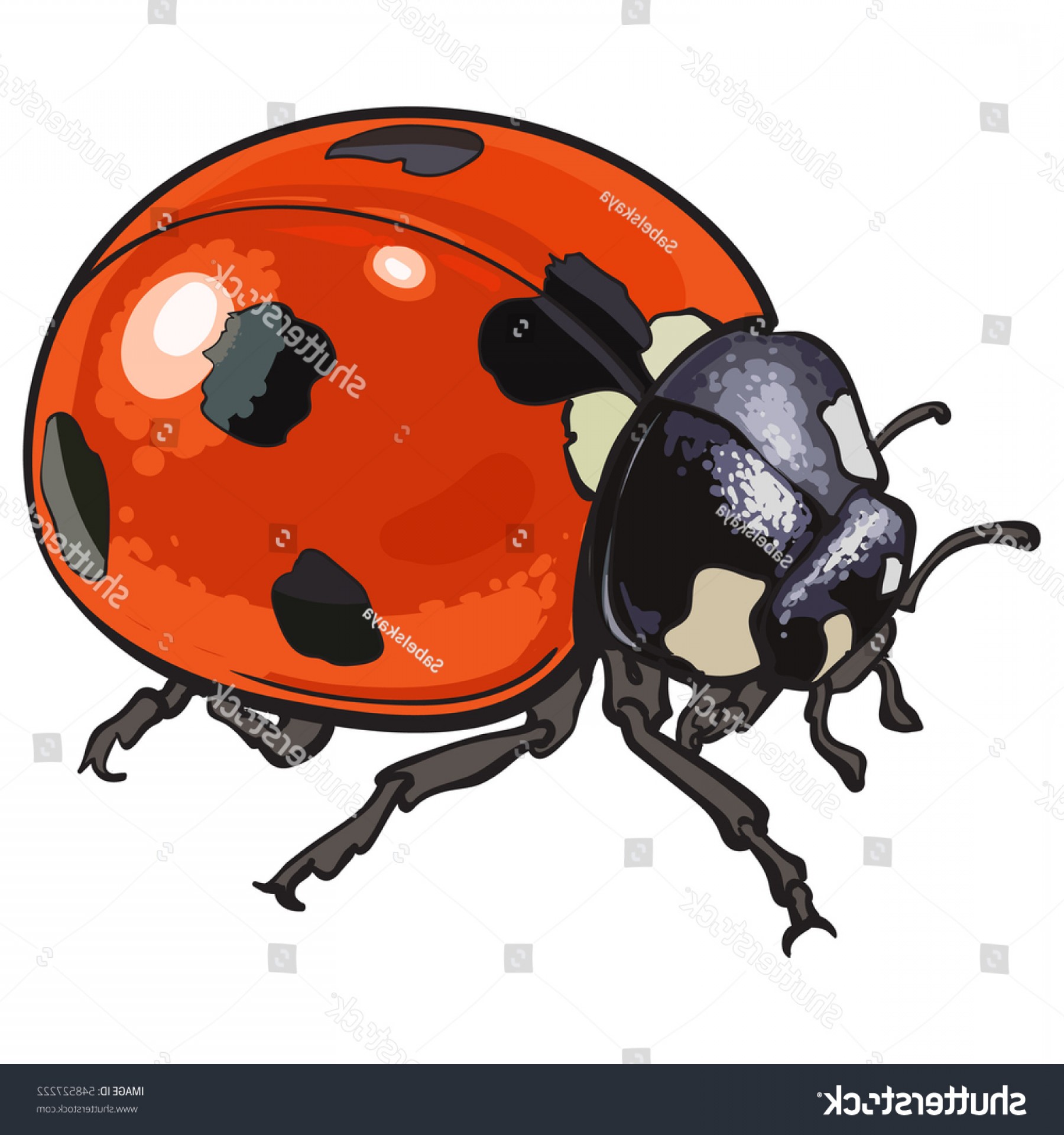 1800x1920 Vector Ladybug True Shopatcloth