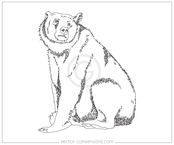 600x500 Vector Line Art Options