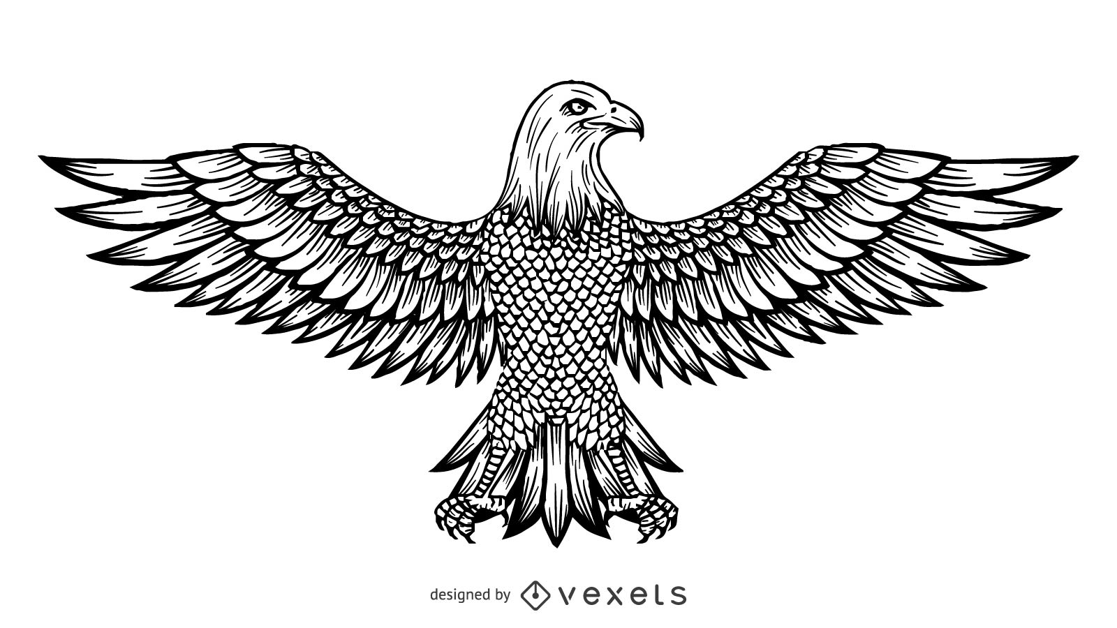 1600x900 Vector Line Drawing Of The Eagle