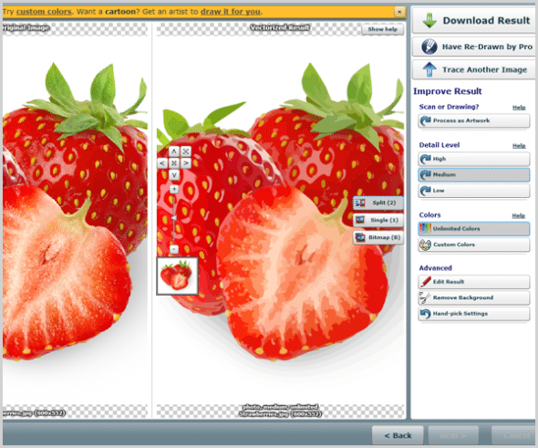 590x491 Using Vector Magic To Create Vector Images Gt Stock Photo Secrets