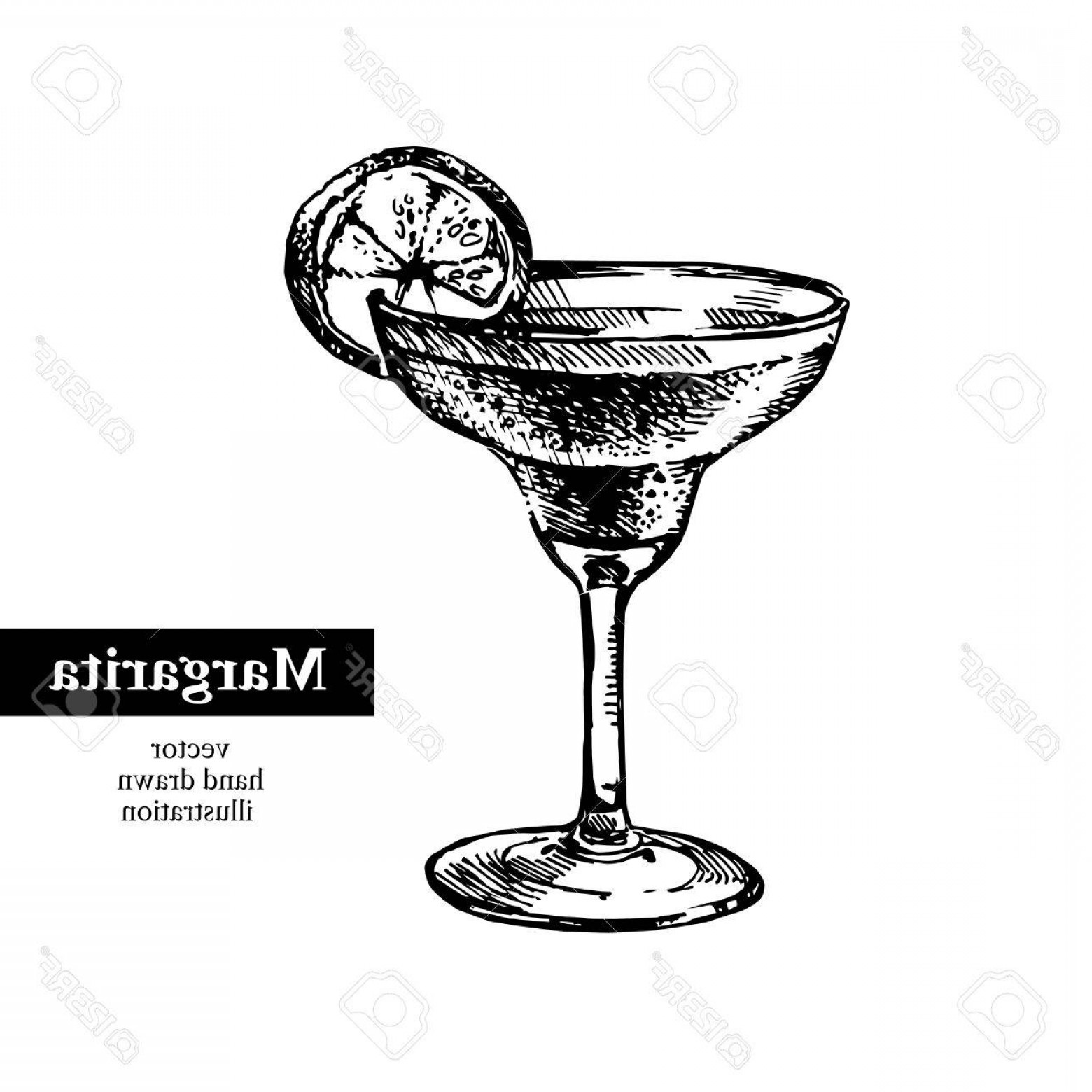 1560x1560 Photostock Vector Hand Drawn Sketch Cocktail Margarita Vintage