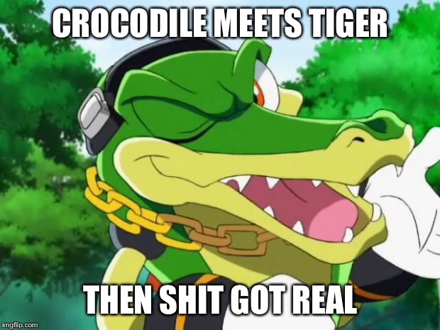 620x465 Vector The Crocodile