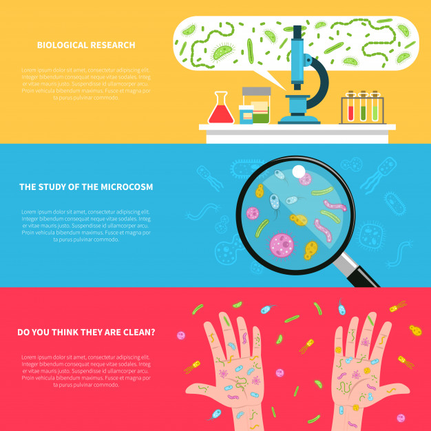 626x626 Microbiology Banner Set Vector Free Download