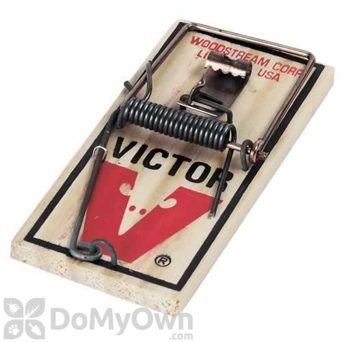 500x500 Victor Mouse Trap