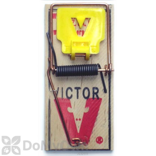 500x500 Victor Mouse Trap