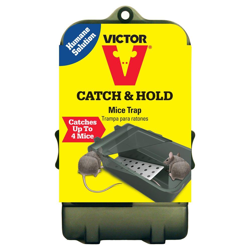 1000x1000 Victor Multi Catch Live Mouse Trap M333