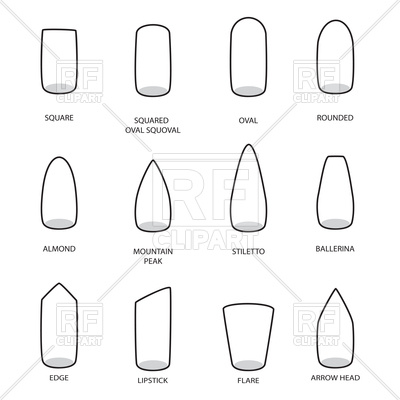 400x400 Set Of Different Shapes Of Nails Vector Image Vector Artwork Of