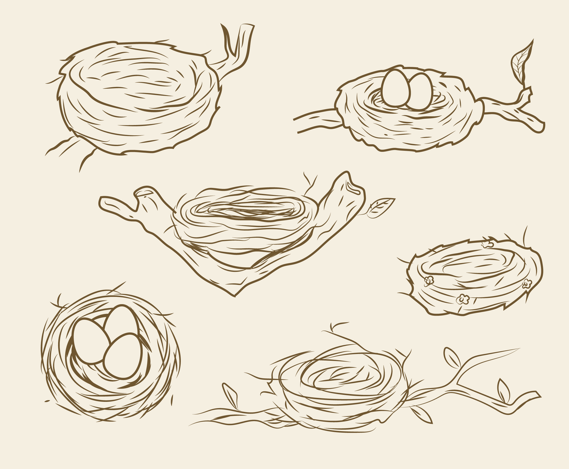 1136x936 Free Nest Vector Vector Art Amp Graphics