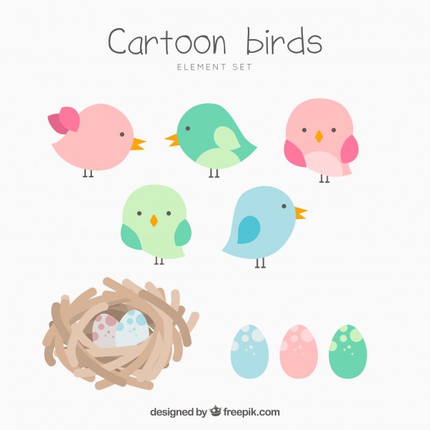 626x626 Nest Vectors, Photos And Psd Files Free Download