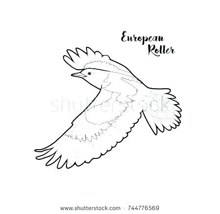 450x439 Bird Nest Coloring