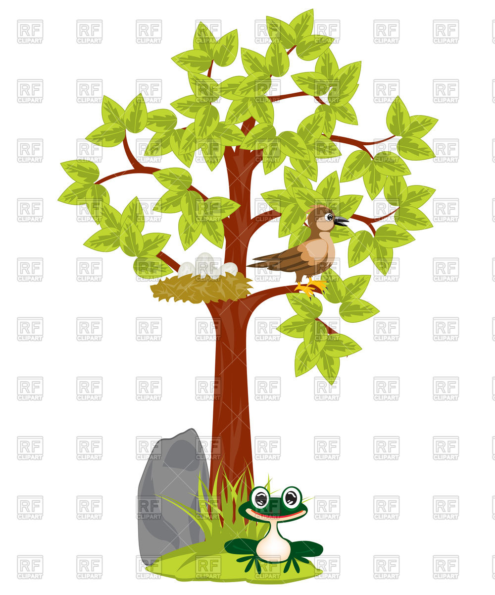 1000x1200 Tree With Nest And Bird Sitting On Him Vector Image Vector