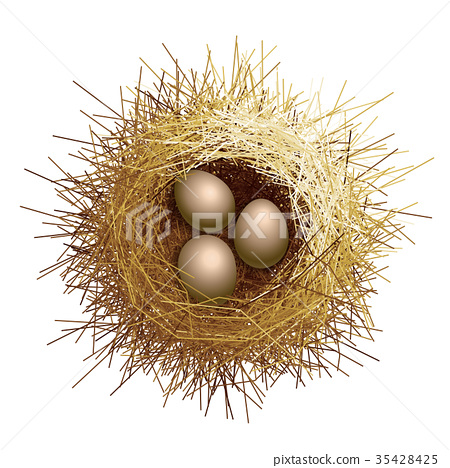 450x468 Vector Birds Nest With Eggs. Top View
