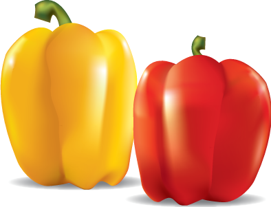 394x301 Vector Illustrator Objects (20)