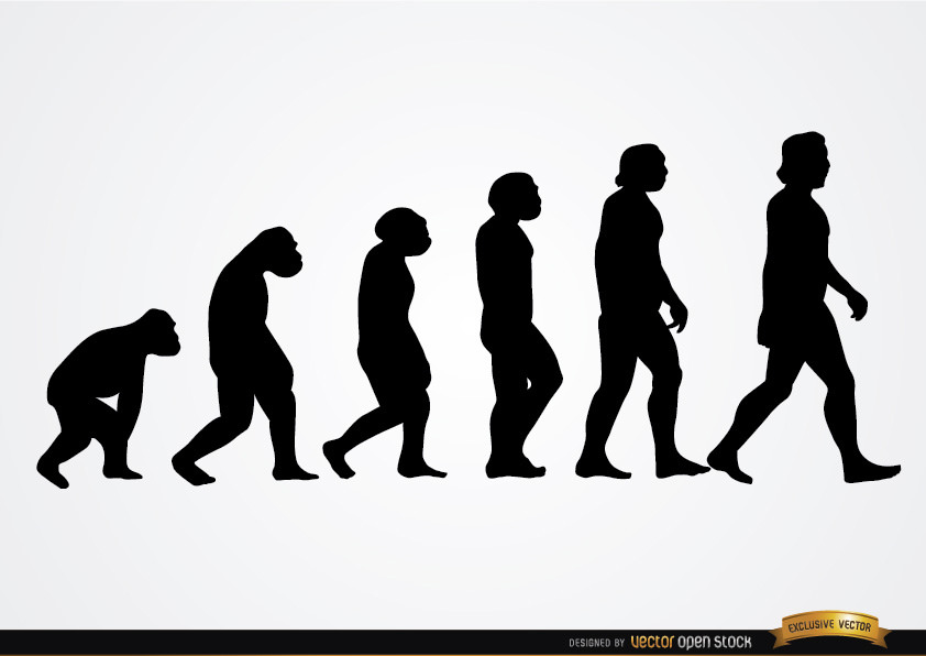 842x596 Human Evolution Silhouettes Download This Free Vector